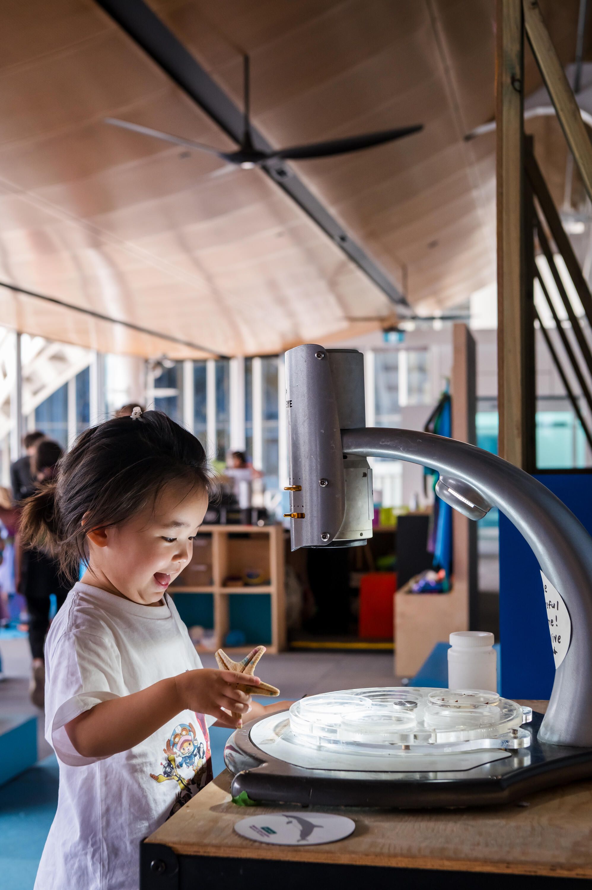 Photo of a young girl using a microscope that has a screen to look at a starfish specimen.