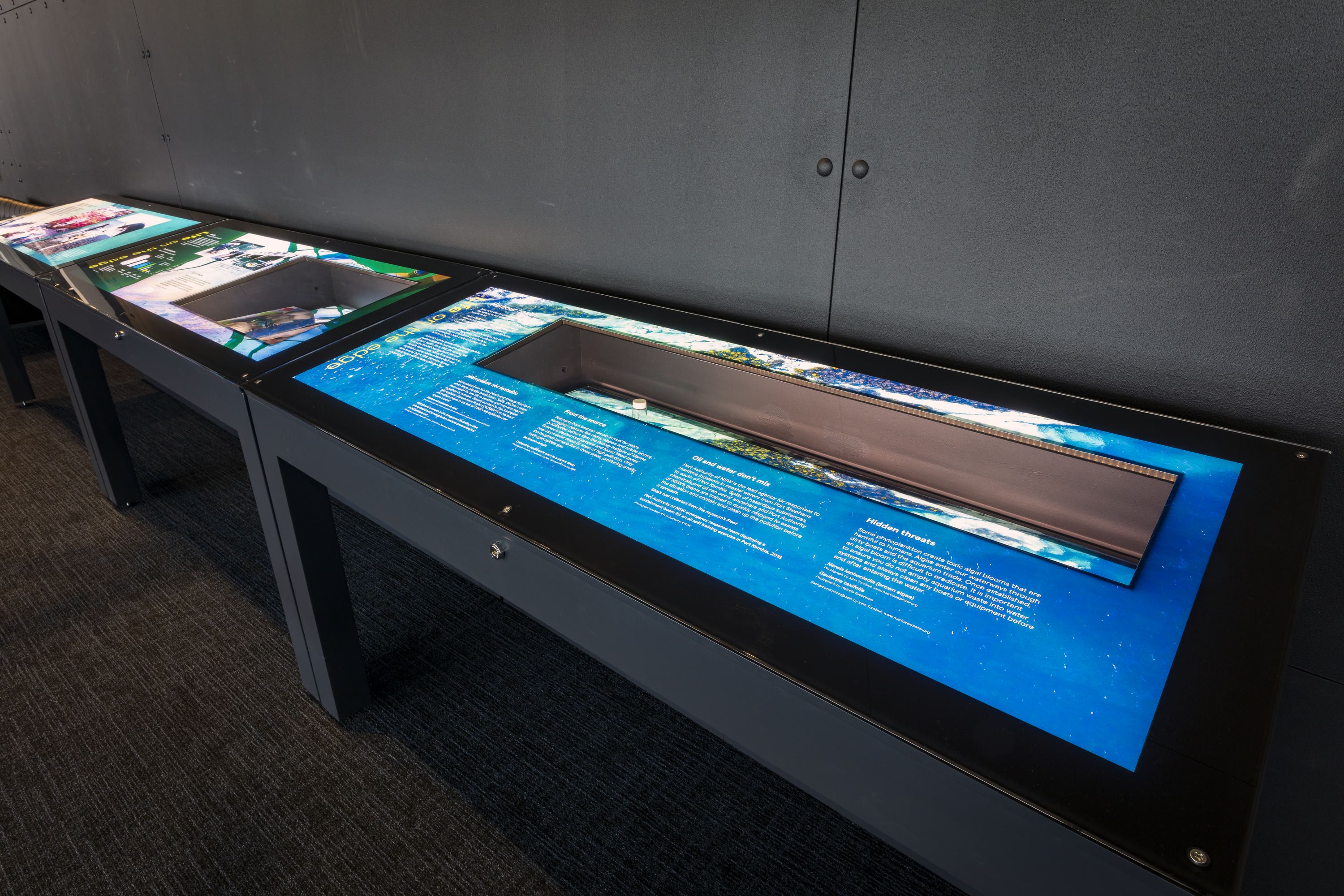 Photo of a row of display cases in a museum exhibition, with of small text printed on the top. 