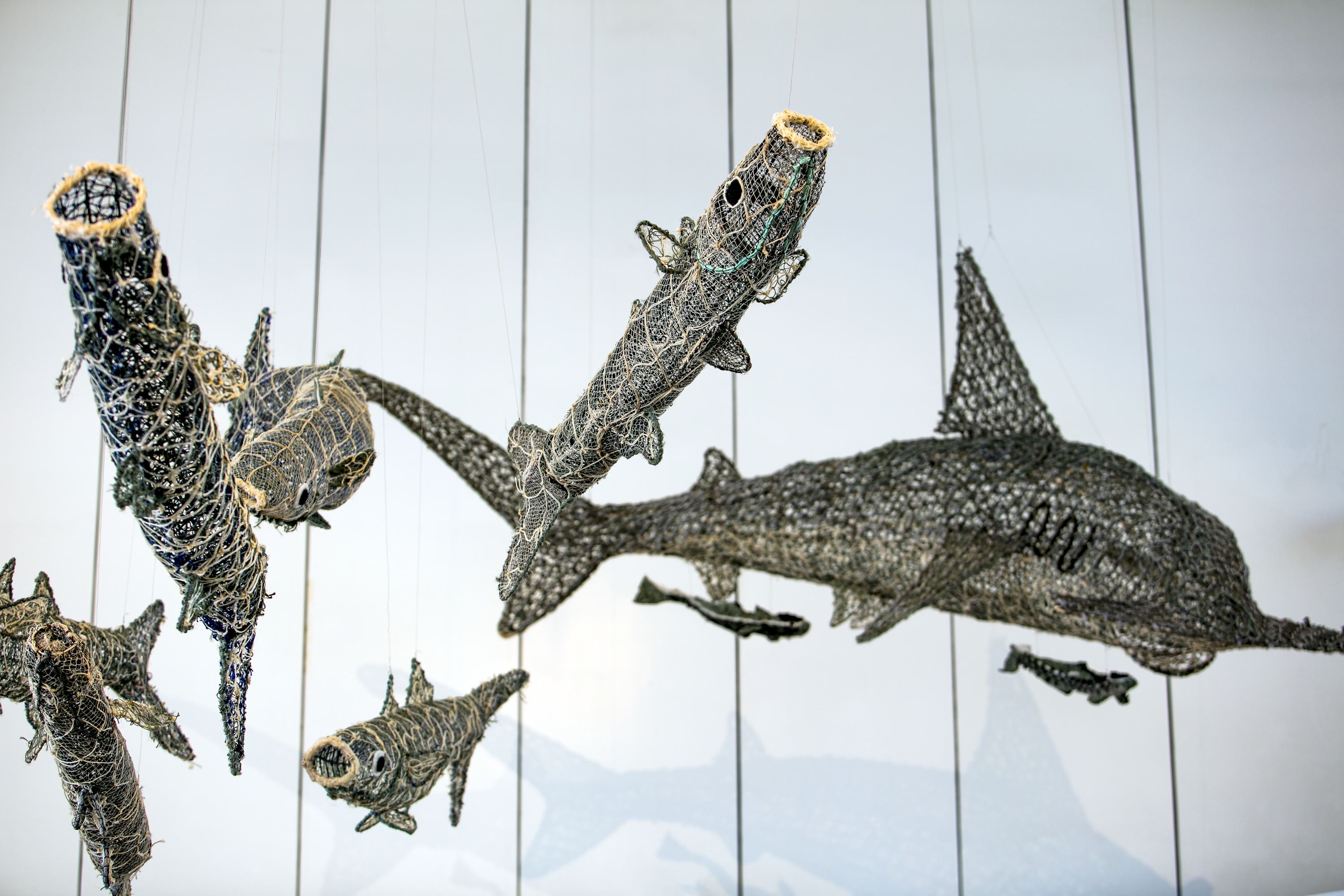 Photo of Ghost Nets sculptures handing above the museum foyer. The sculptures are made from eclaimed fishing net and rope and this photo includes large fish and a shark. 