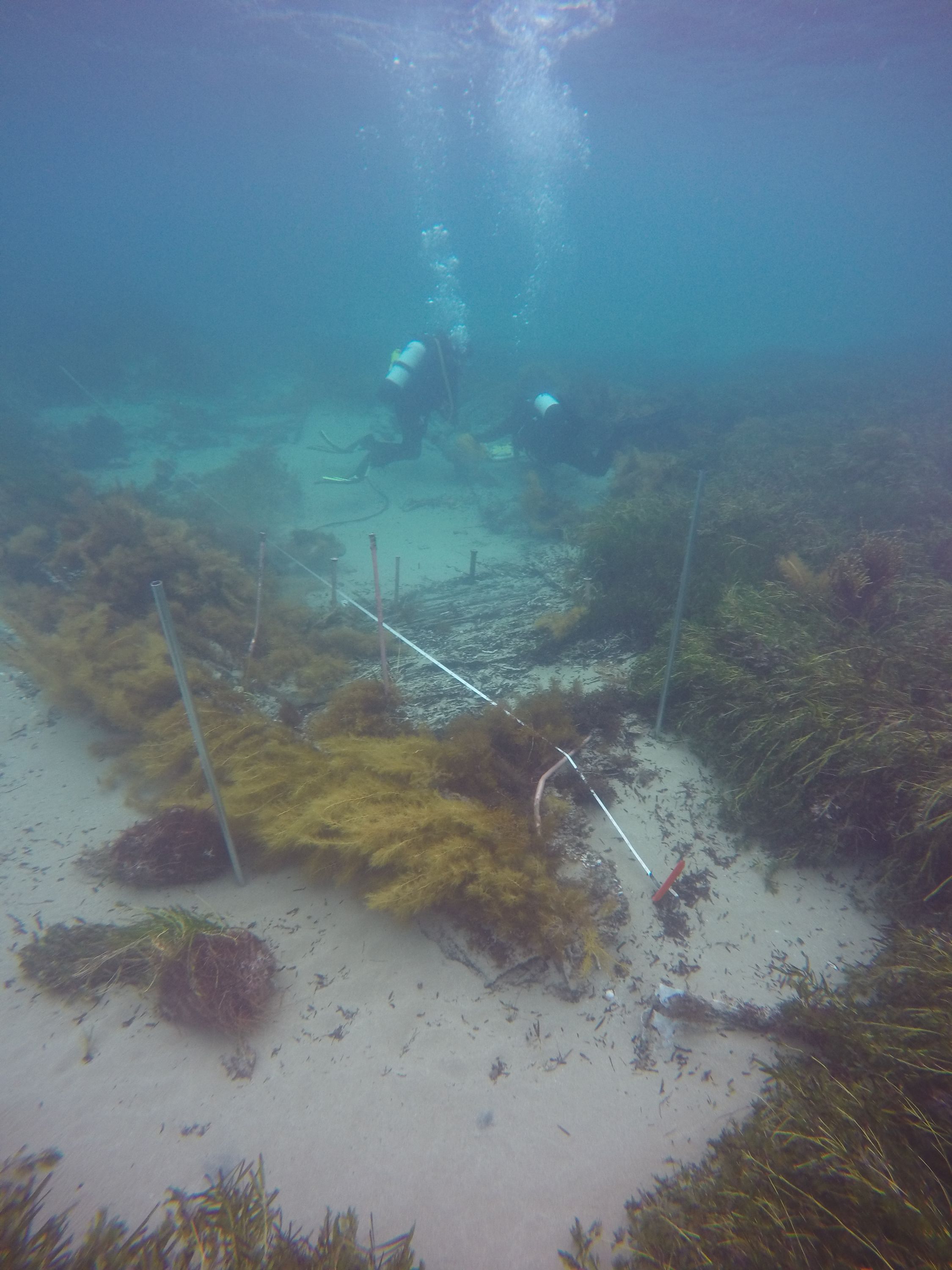 Underwater photograph showing a shipwreck and two divers in teh background