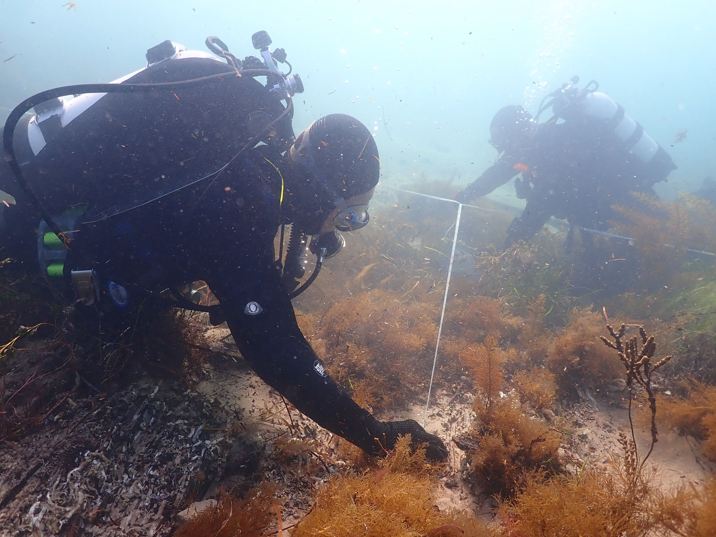 Underwater photo of 2 diverers measuring a shipwreck site