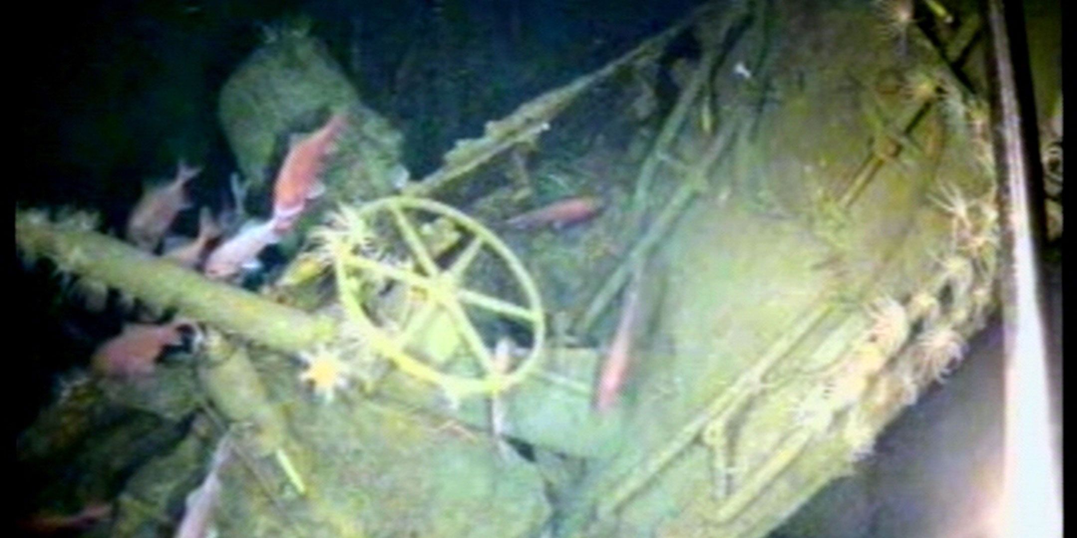 Close up photo taken underwater of a shipwreck, showing the wheel, with fish swimming around it. 