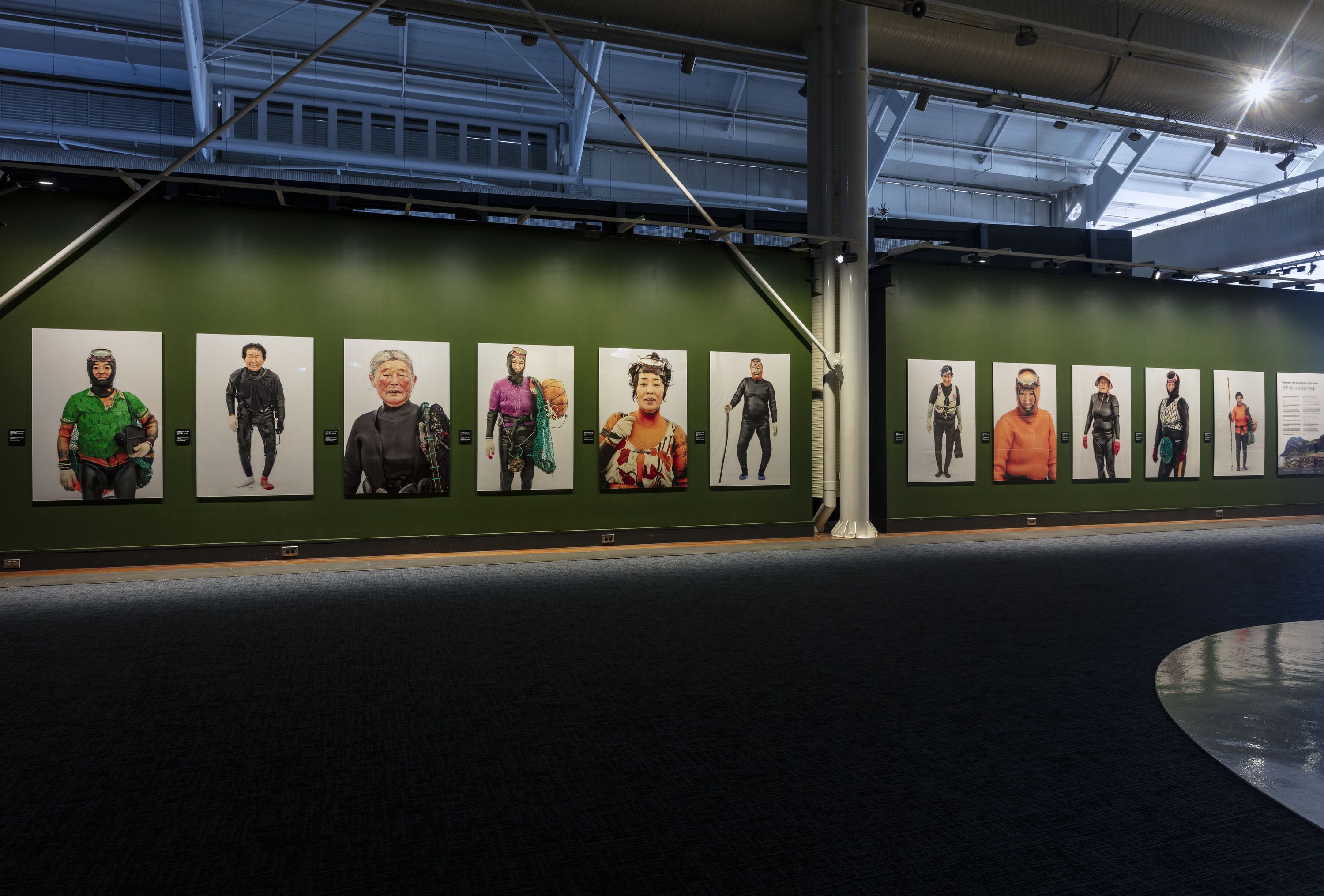 Photo showing a museum display, with a long line of portrait photographs hung on a green wall. 