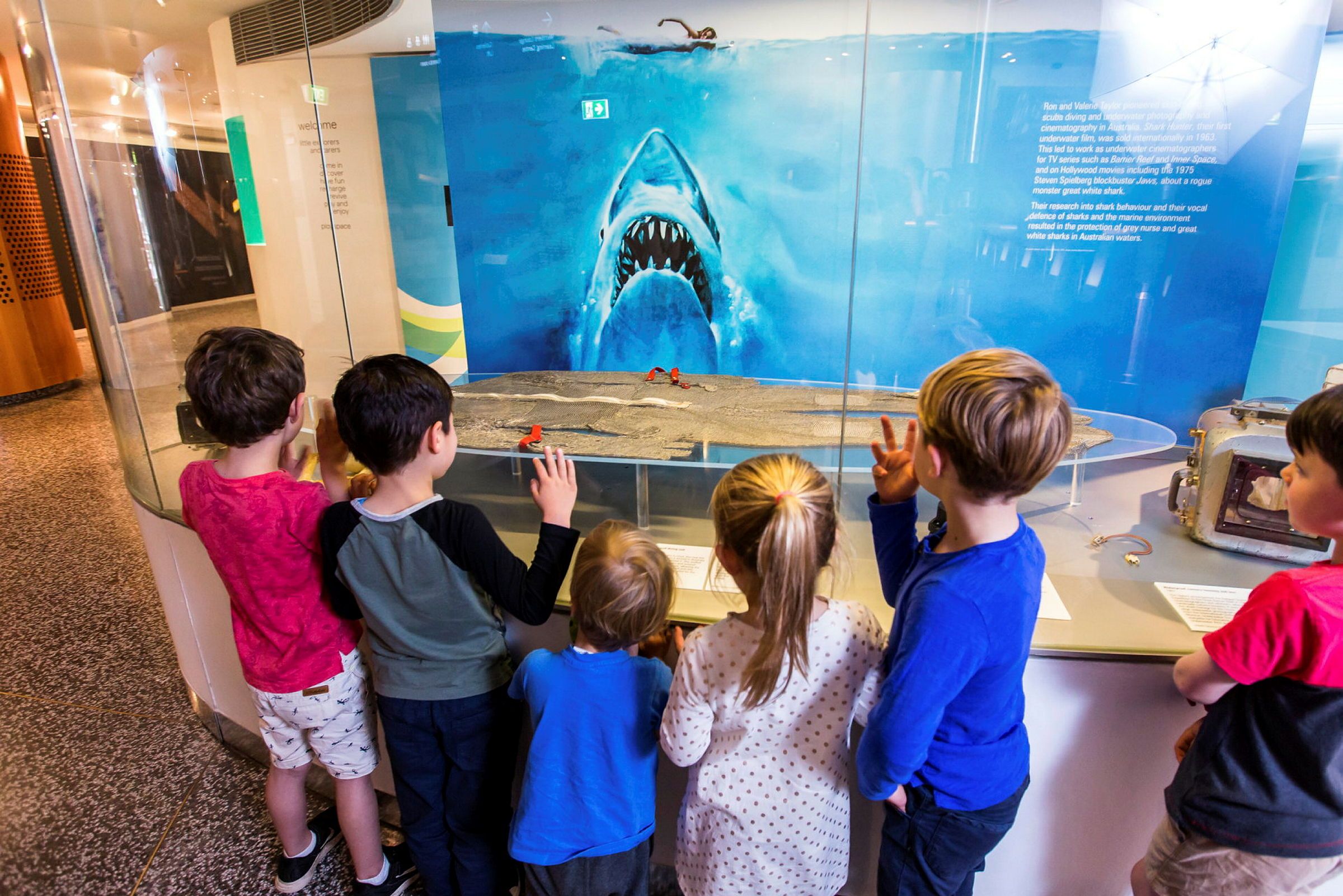 A photo of a group of kids stand in awe before a museum display with a menacing looking shark poster.