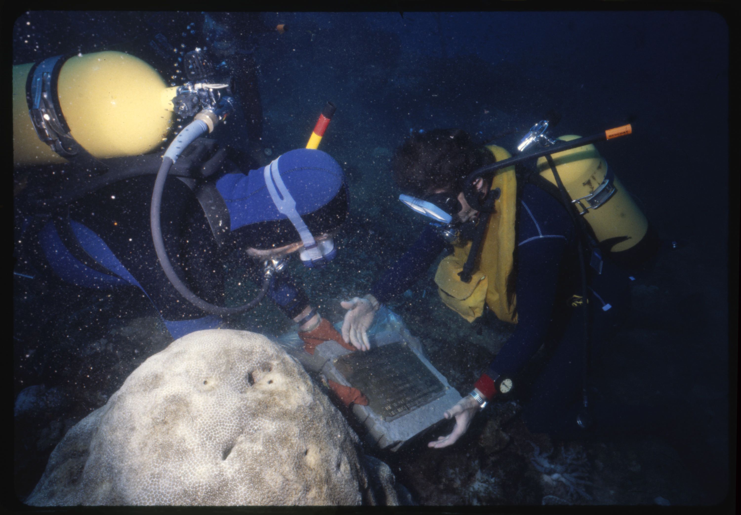 Photo showing 2 divers with SCUBA tanks, looking at a plaque on the ocean floor. 