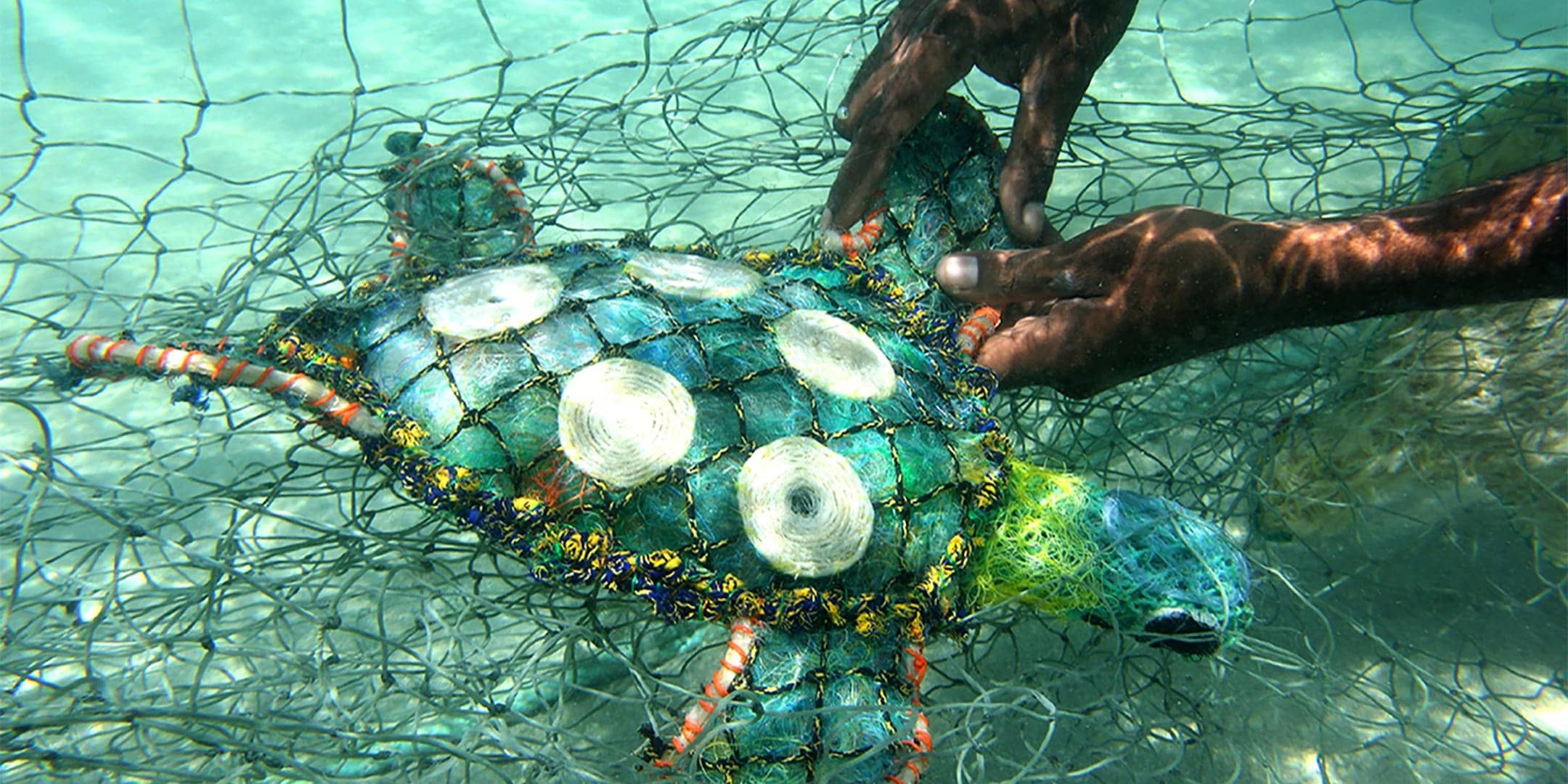 Close up image of a sculpture in the shape of a turtle, made out of fishing nets.