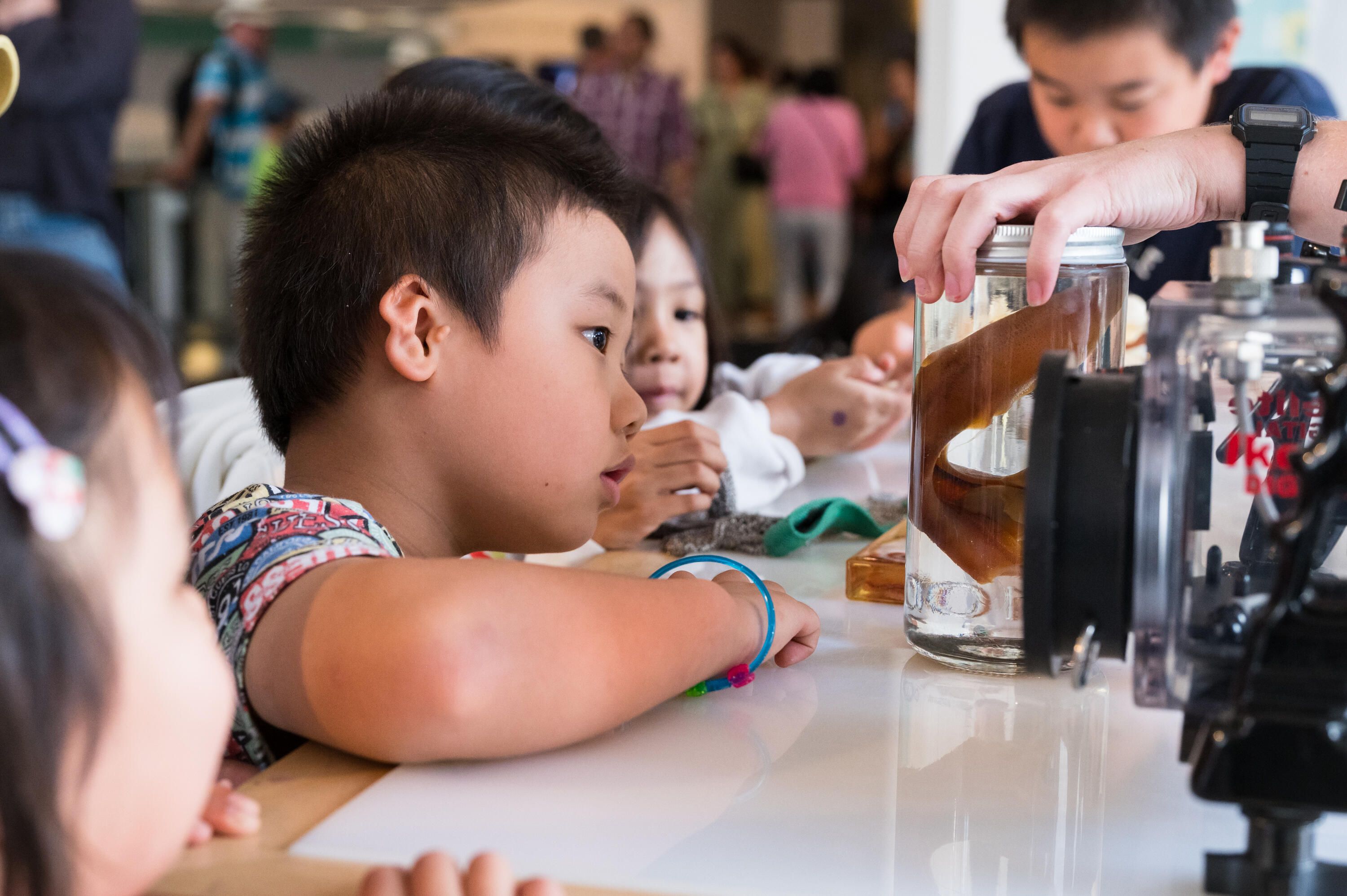 Photo of a group of children looking at a table of specimens and objects they can touch