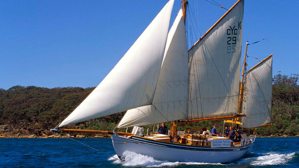 Small boat with white sails on the water, with land covered in green plants.