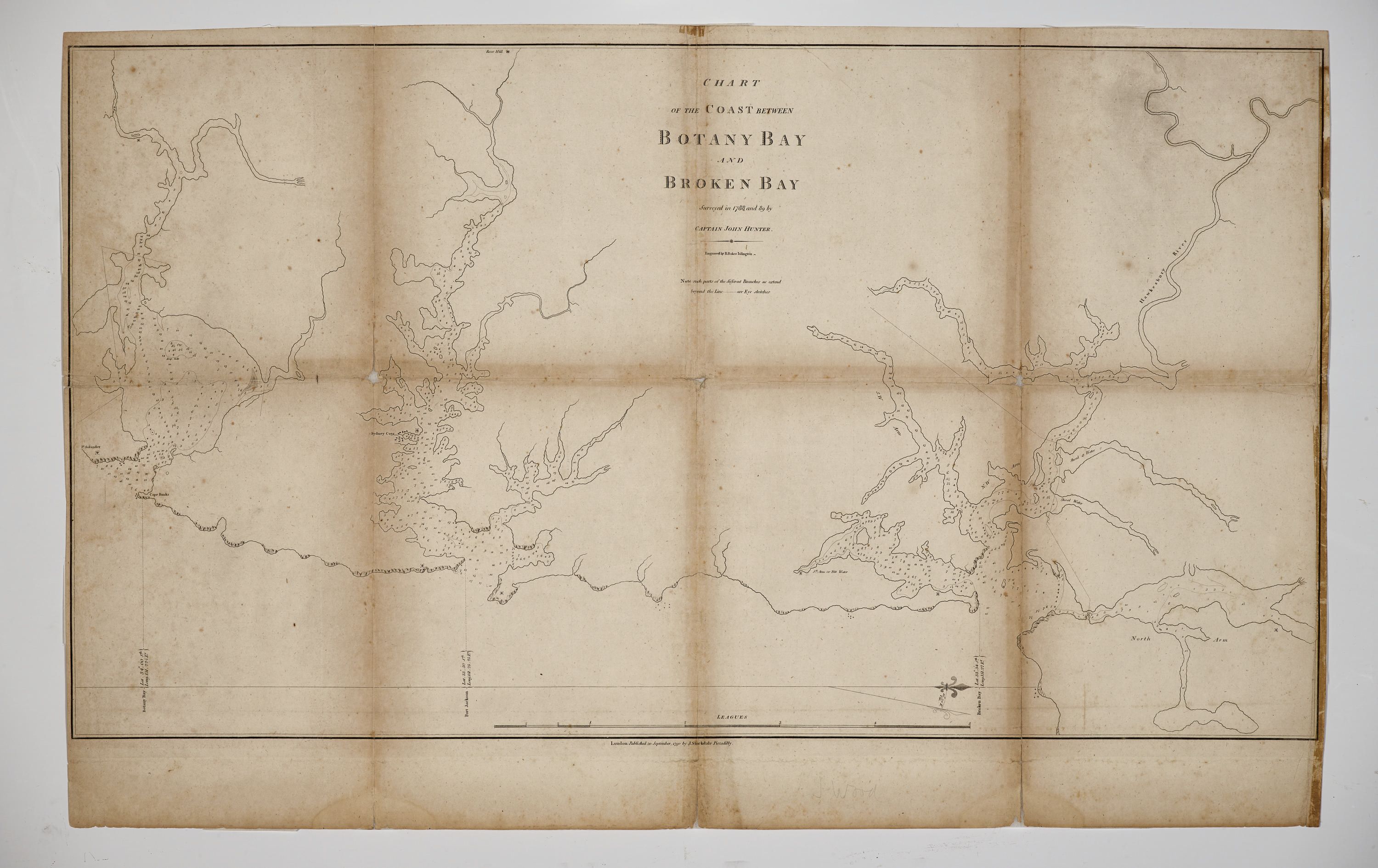 Photograph of a chart on yellowed paper.