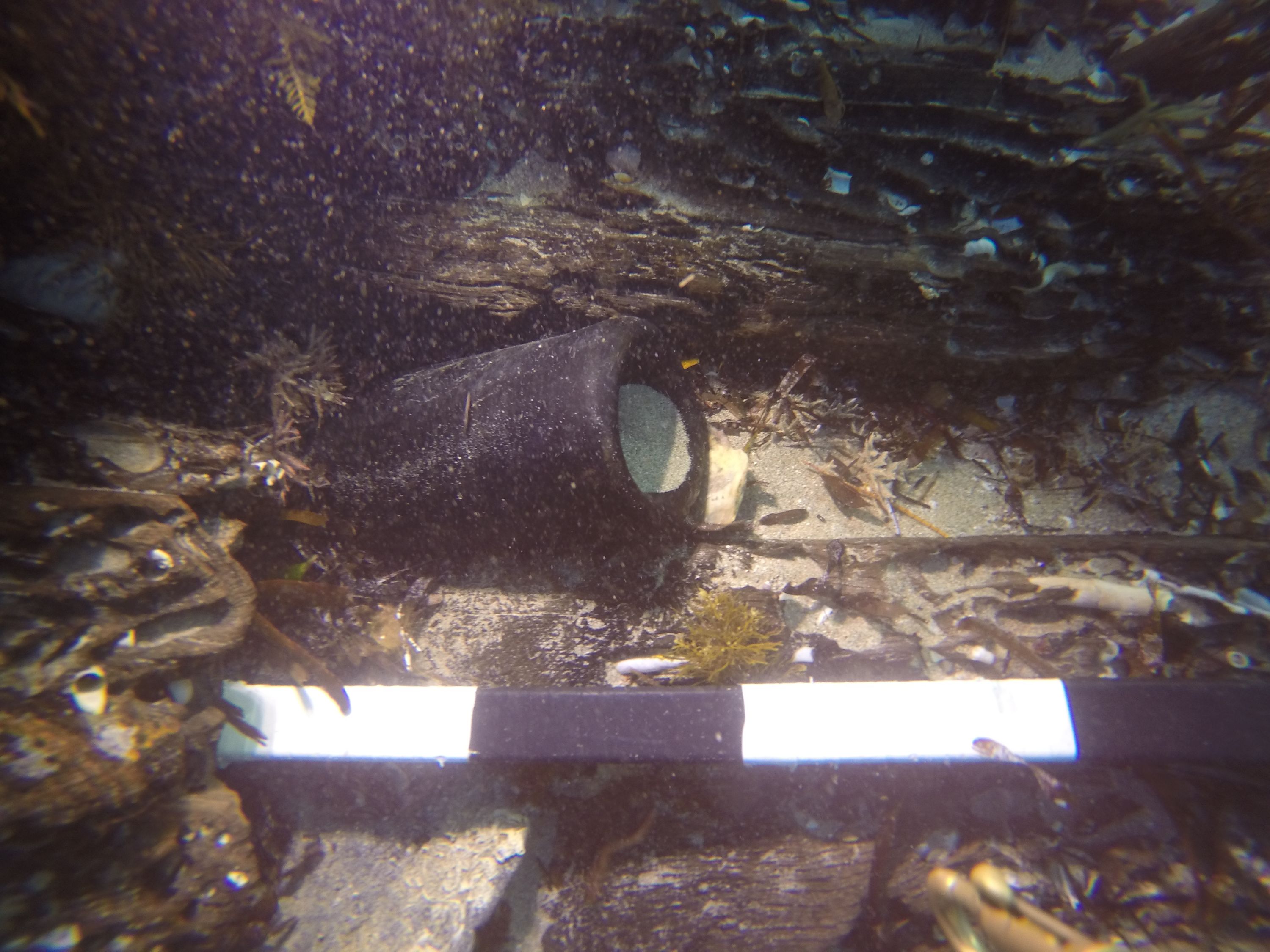 A bottle in the wreck site with a black and white marker.  