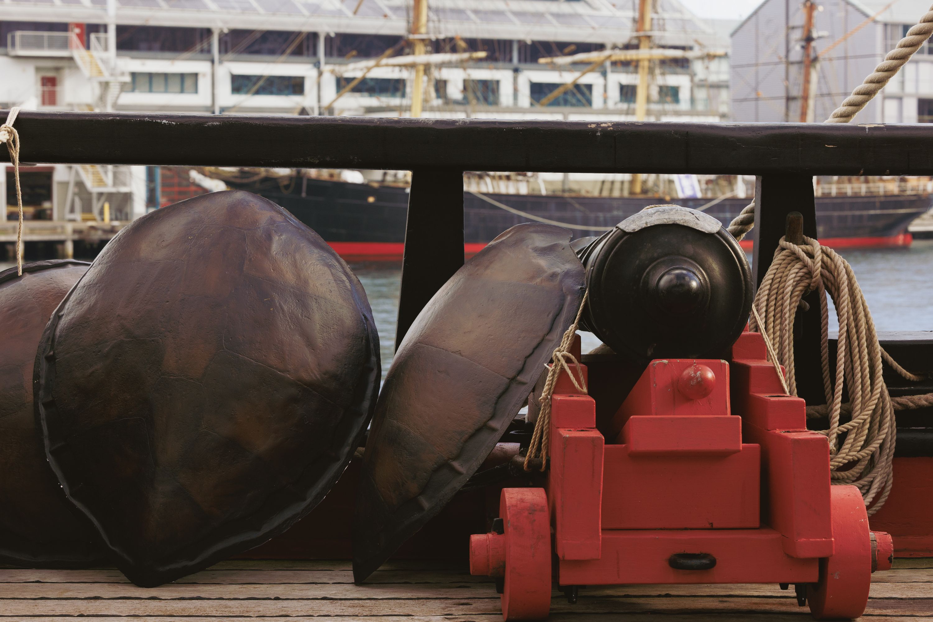 Photo taken on the deck of a ship showing large turlle shells leaning against a large canon and the railing of the ship.