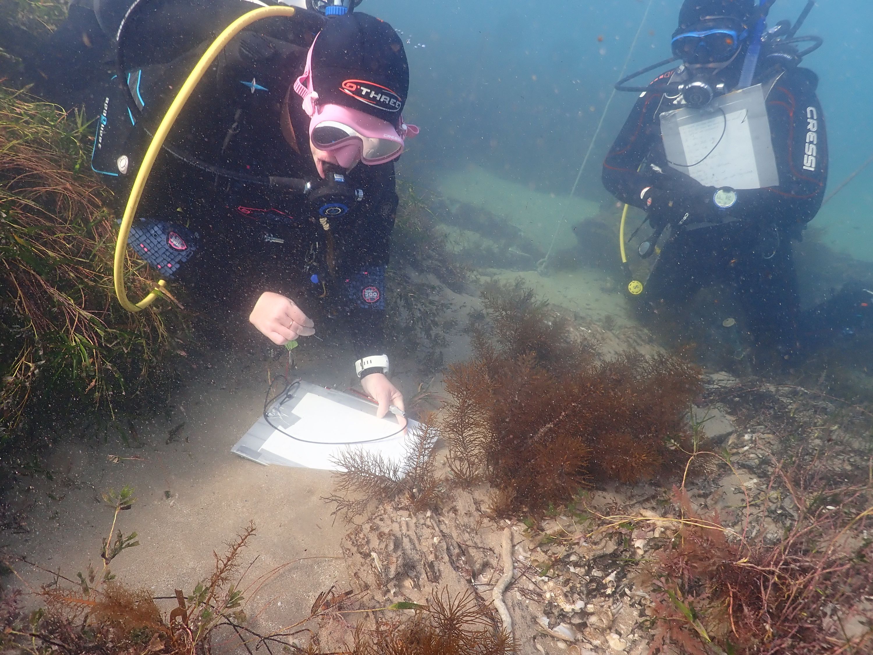 Phot of two divers underwater with clipboards recording a shipwreck 