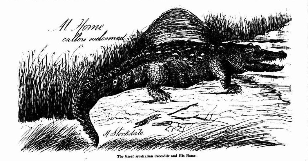 black and white engraving from a newspaper showing a crocodile.