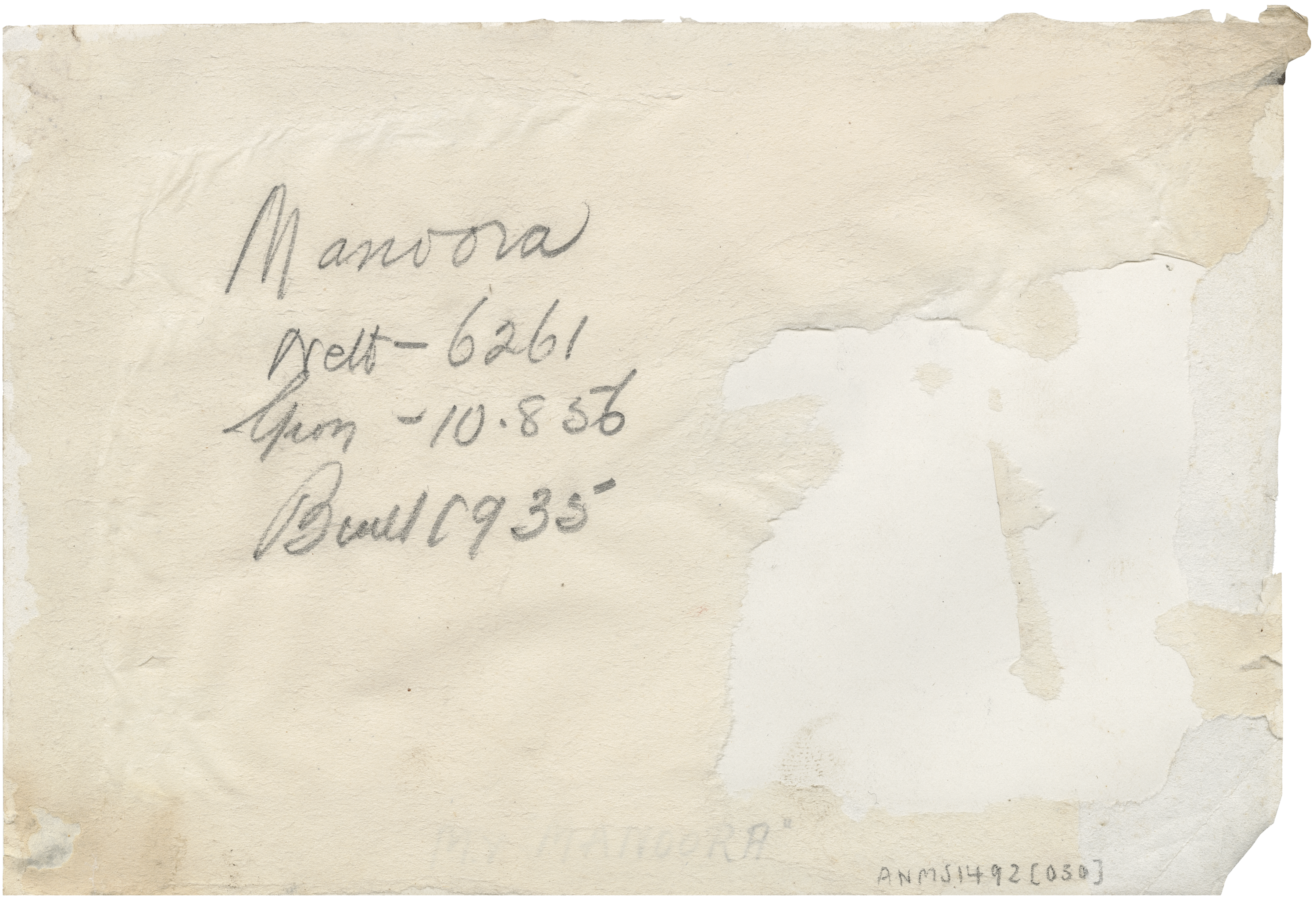 Cream paper (the back of a photograph) with cursive writing in pencil; Manoora