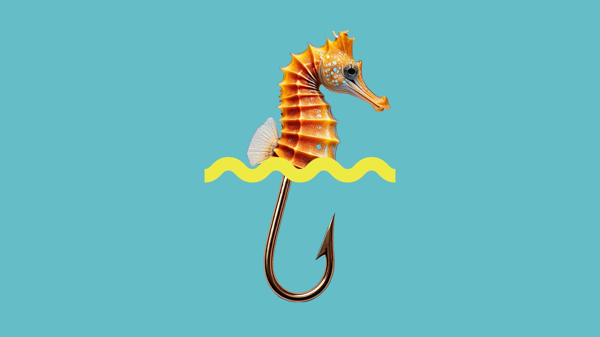 Graphic showing a mash up of a Seahorse and a fish hook which looks like the tail