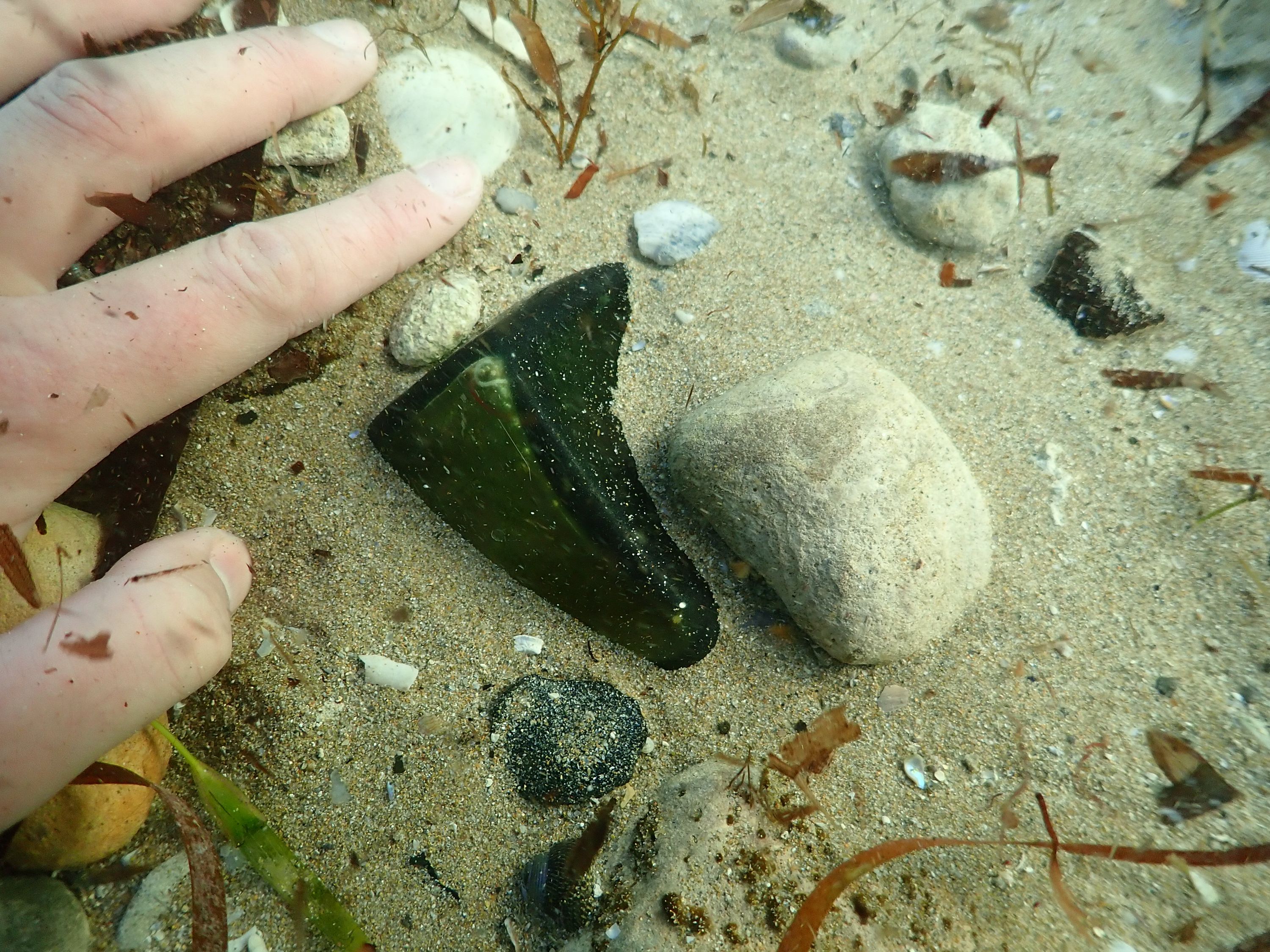 Photo showing artefacts in sand 