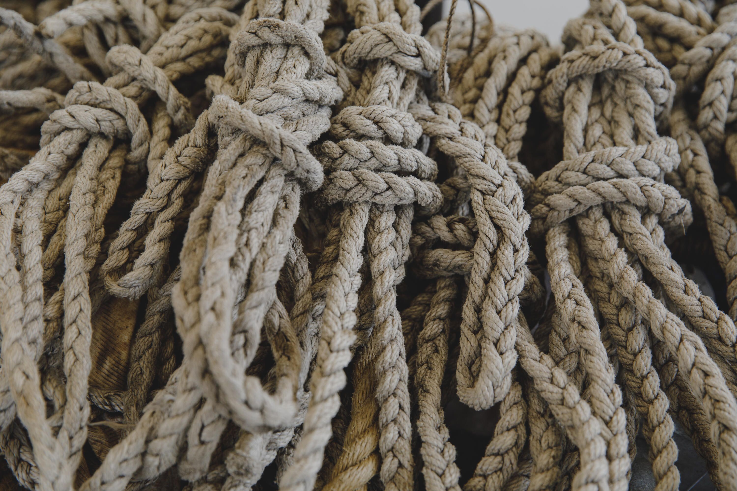 Photo showing bundles of braided ropes.