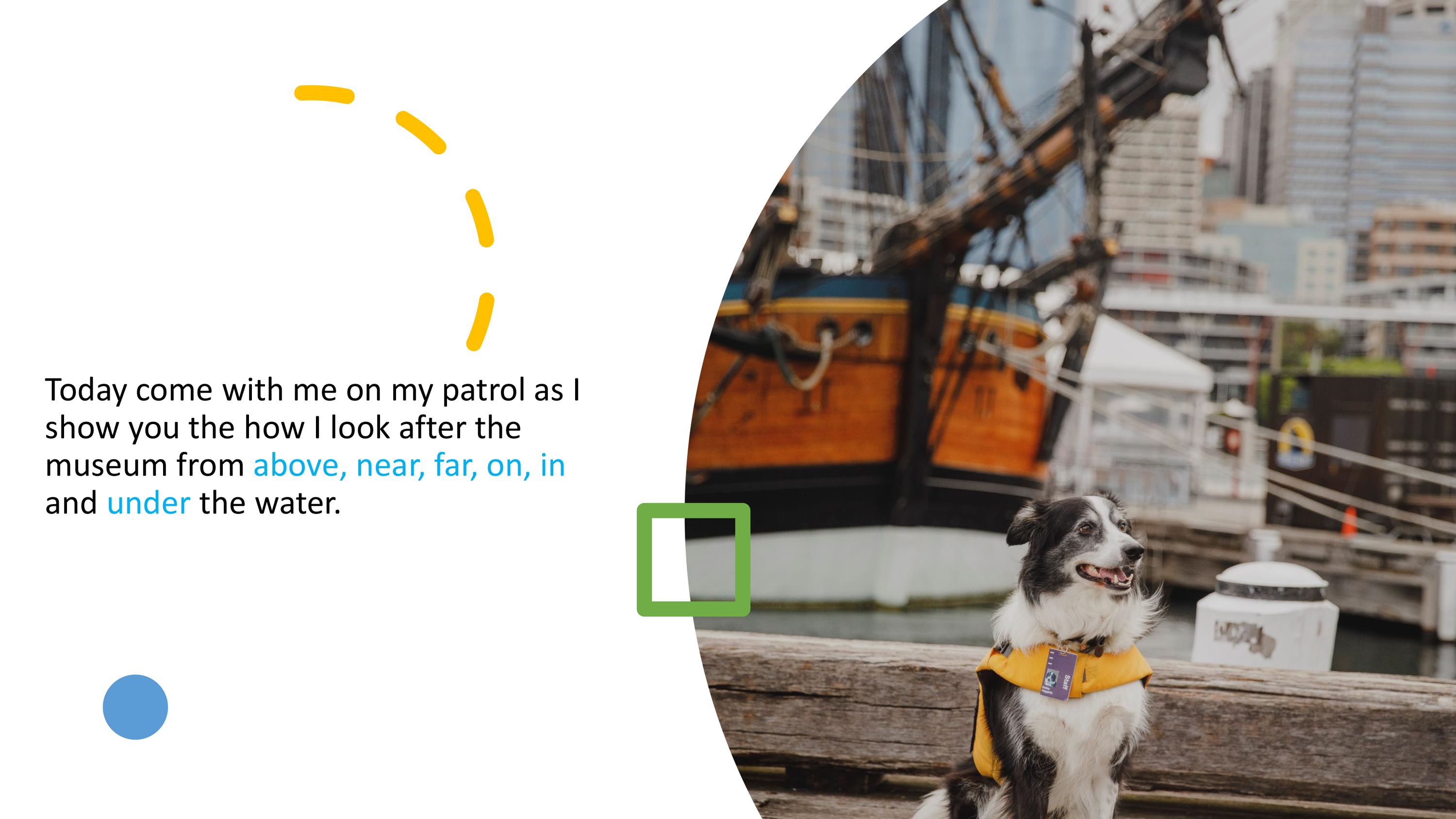 Today come with me on my patrol as I  show you the how I look after the  museum from above, near, far, on, in  and under the water